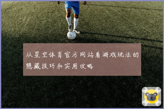 从星空体育官方网站看游戏玩法的隐藏技巧和实用攻略